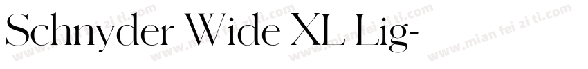 Schnyder Wide XL Lig字体转换